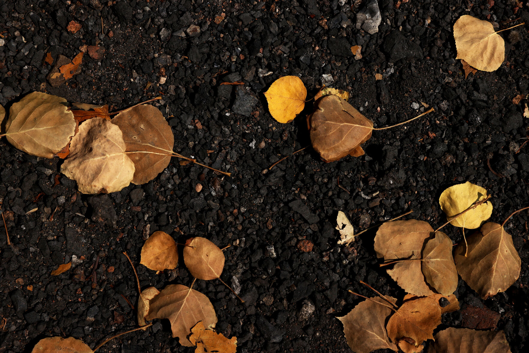 093020-news-aspens 10.JPG